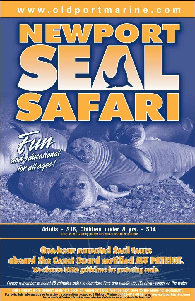 Seal Safari Poster Design