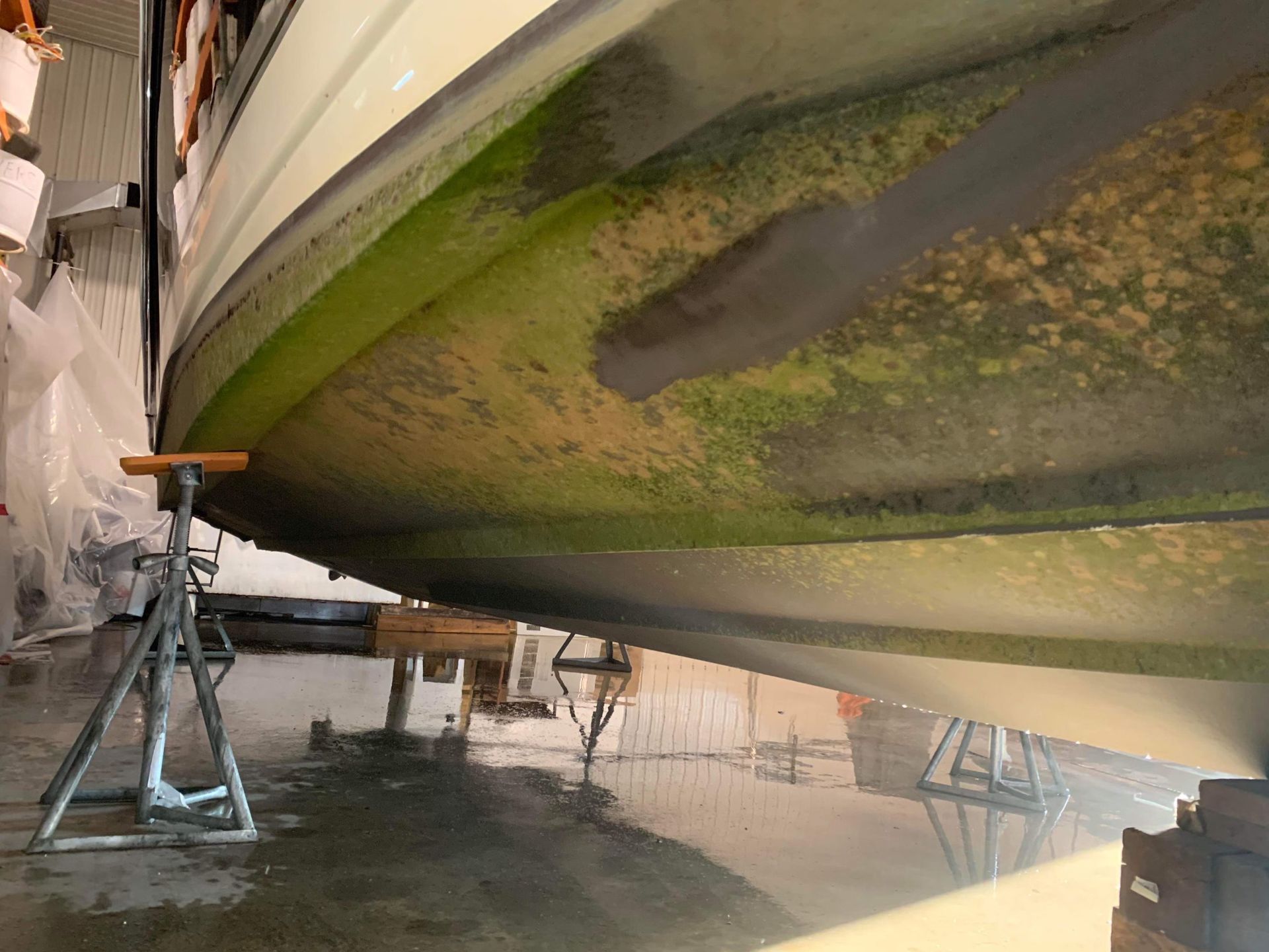 Le fond d'un bateau est recouvert d'algues vertes.