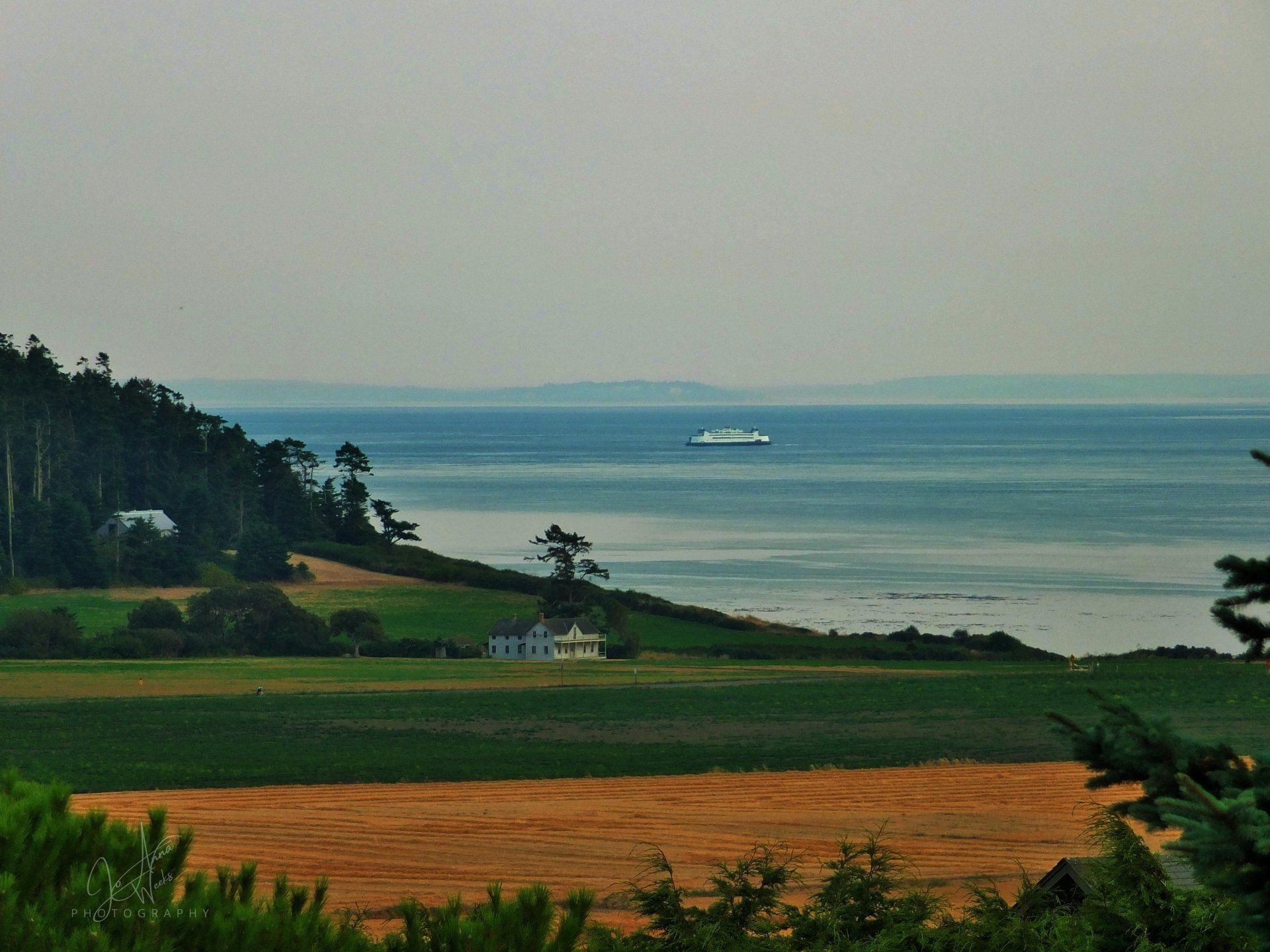 A distant ferry crosses a blue bay, viewed past golden fields, green hills, and a small house under a muted sky.