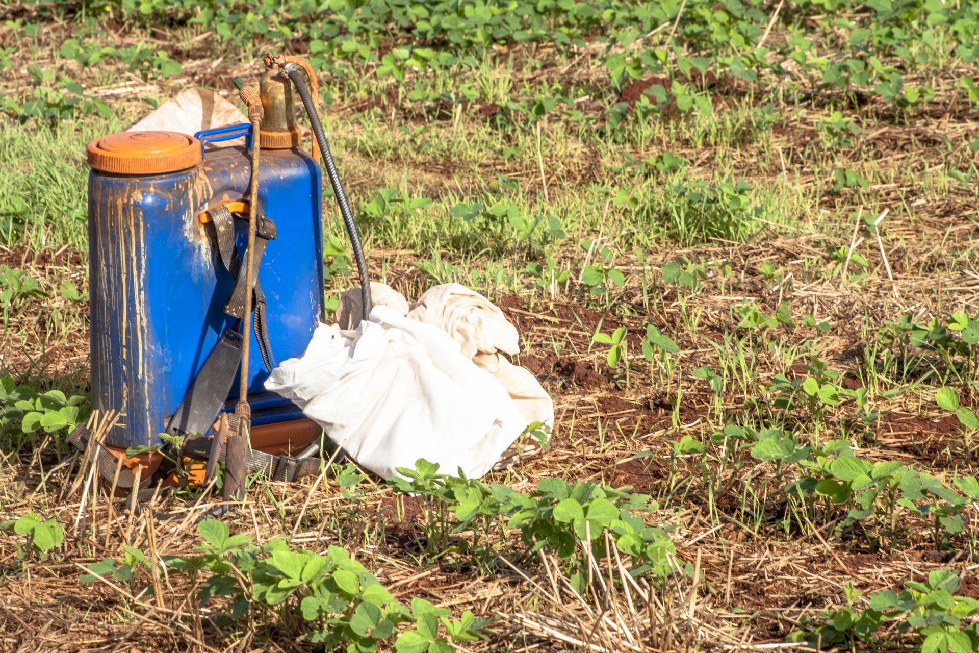 GTM GUATEMALA COMERCIO DE PRODUCTOS S.A.