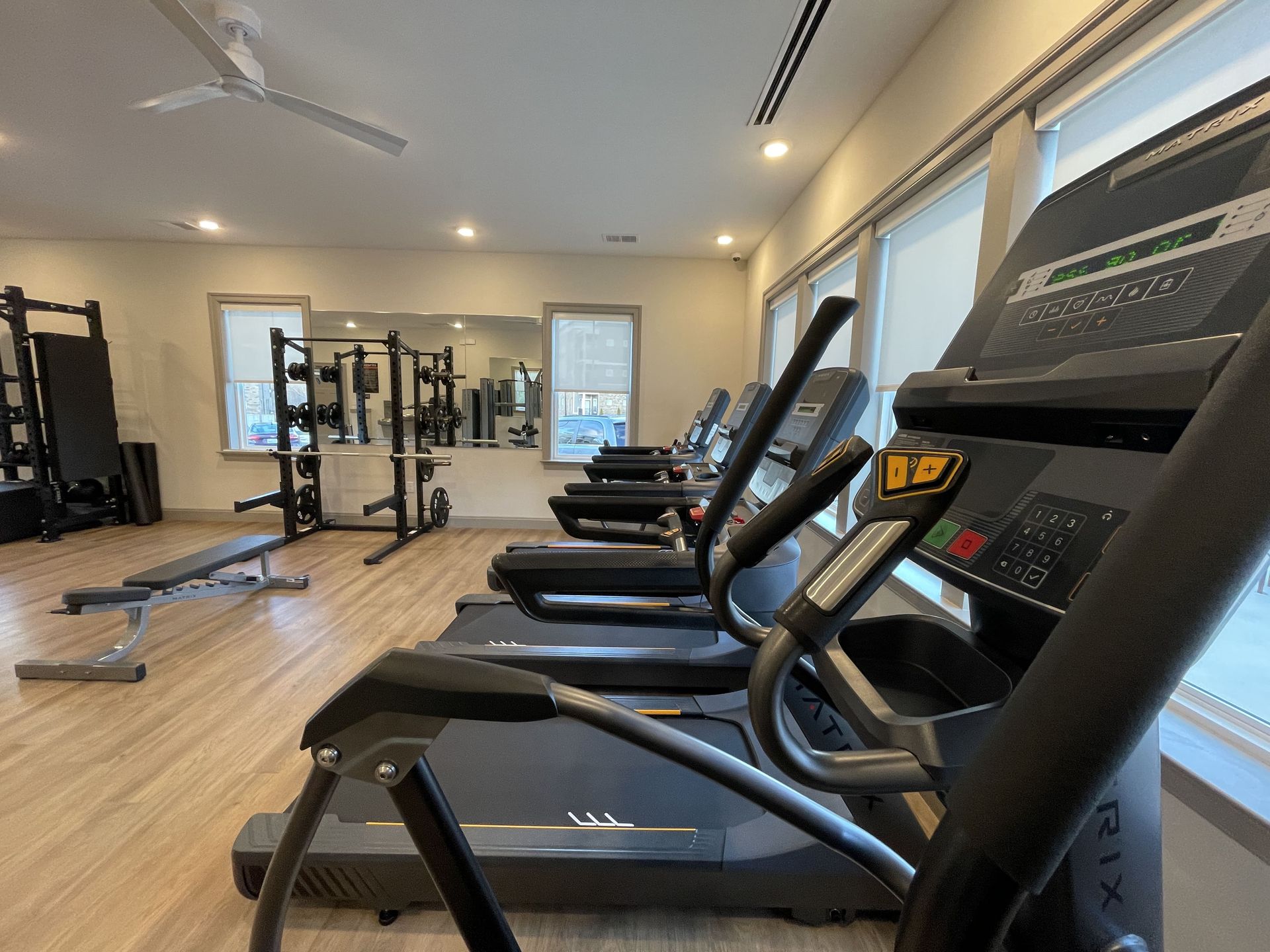fitness center with cardio, TRX, kettlebells, dumbbells, and weight machines.