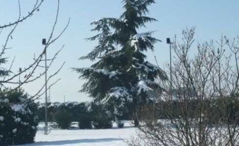 Esterno hotel innevato