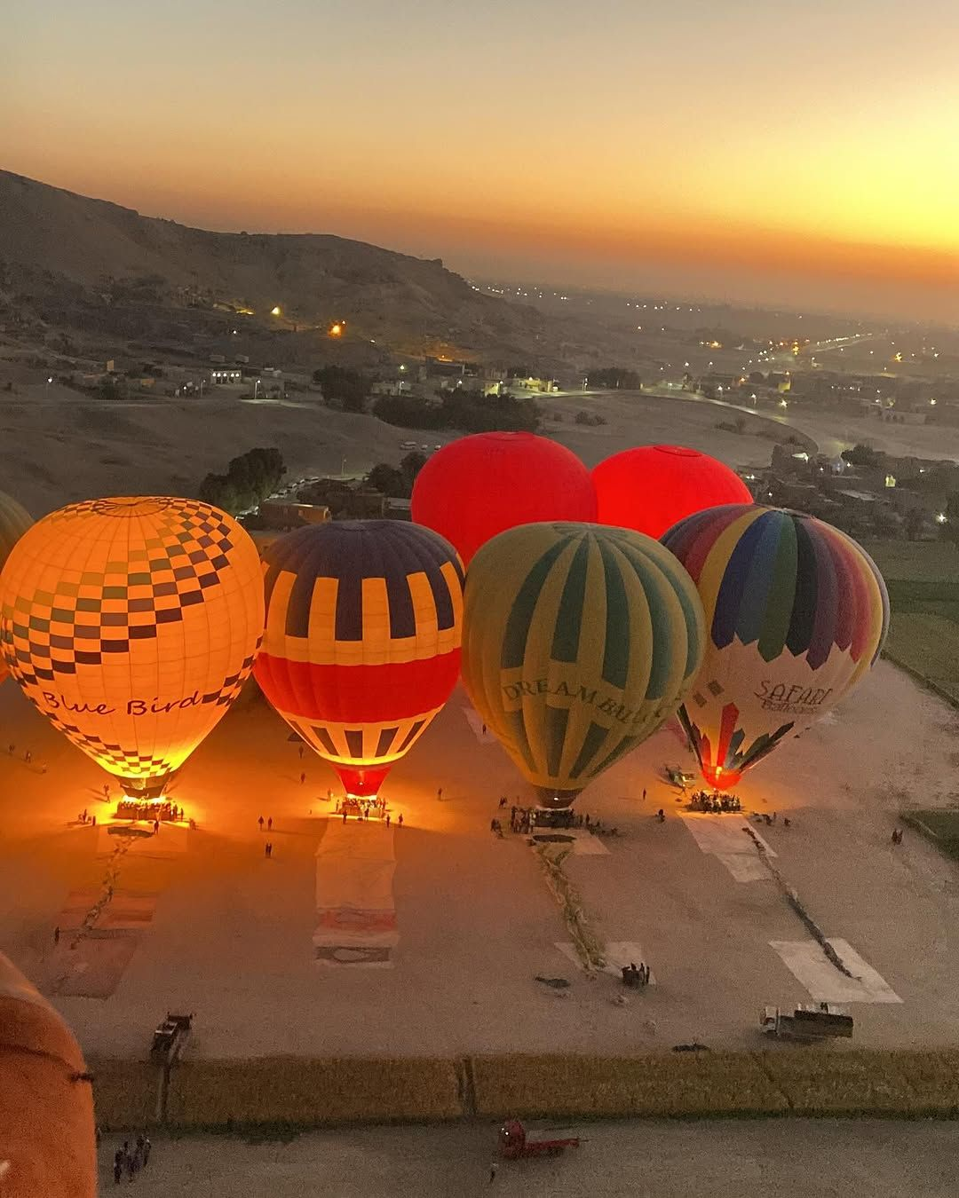 Multiple colorful hot air balloons, including Blue Bird and Dream Balloons, preparing for takeoff at dawn in Luxor