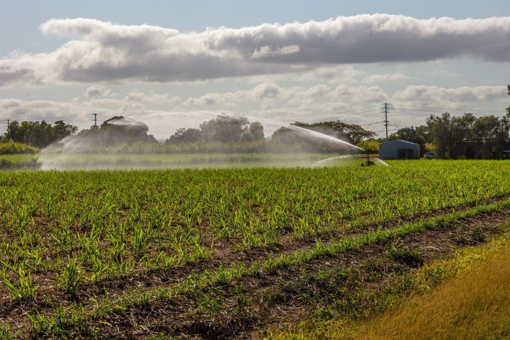 A Sprinkler Is Spraying Water On A Lush Green Field — Wallers Precision Tooling In Proserpine, QLD