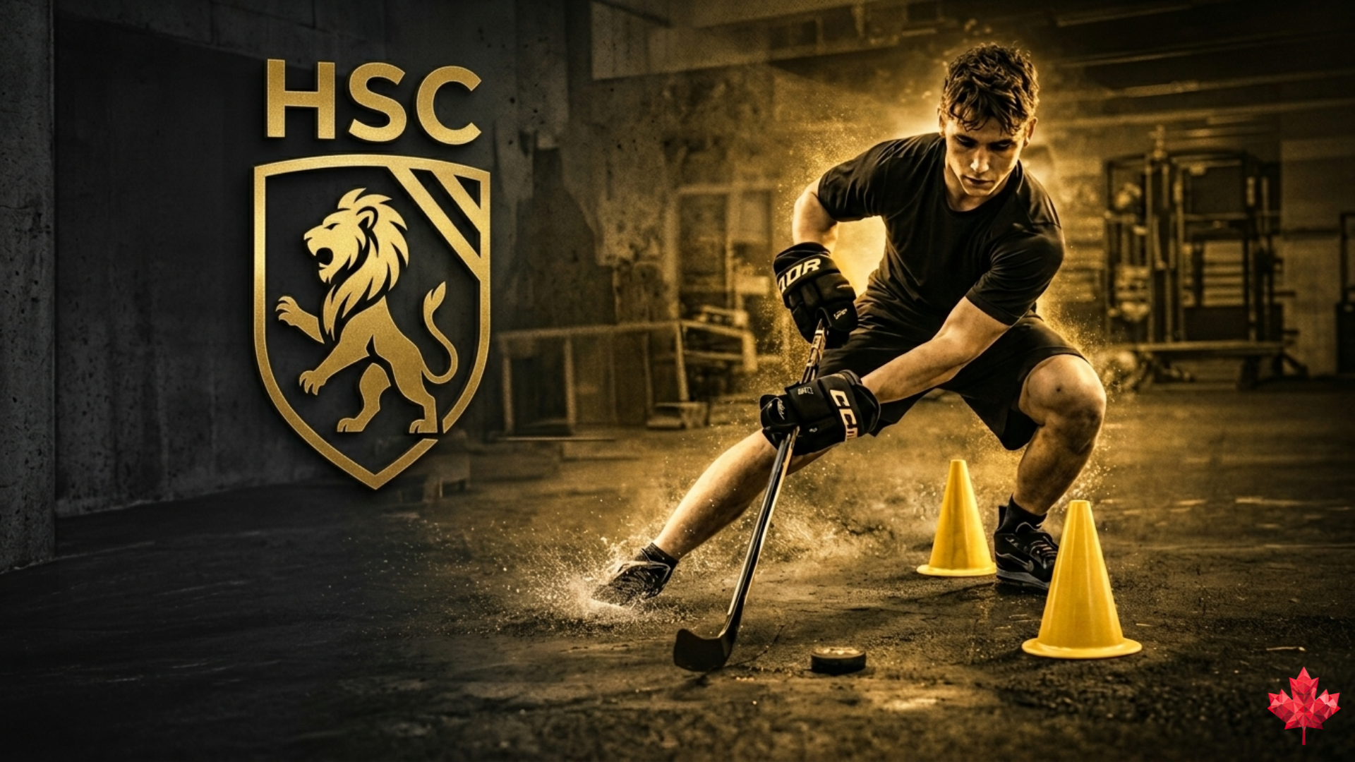 Elite hockey training and batting cage rentals in Camrose