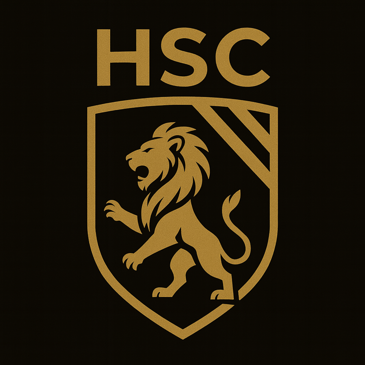 HSC Camrose Elite Hockey Training