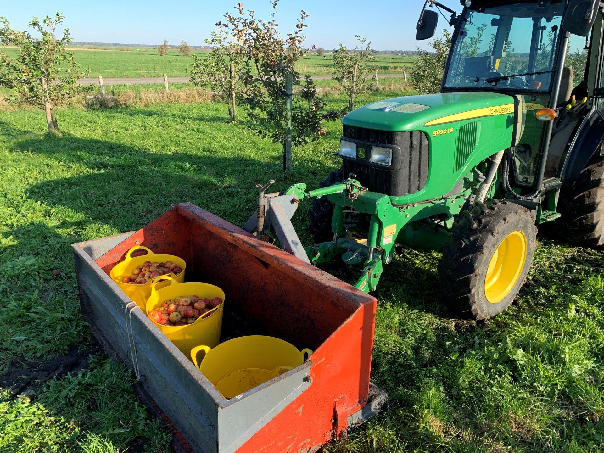 Cider Apples Boomgaard Hemelum, Friesland, Nederland