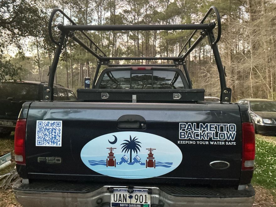 Black Ford pickup with a palm tree decal and roof rack, parked in a wooded area.