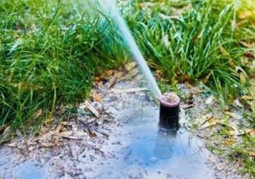 A sprinkler sprays water over a grassy patch with a small puddle in the center.