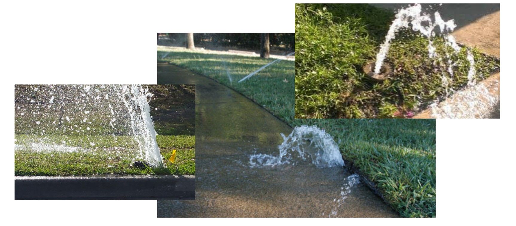 A sprinkler sprays water over a grassy patch with a small puddle in the center.