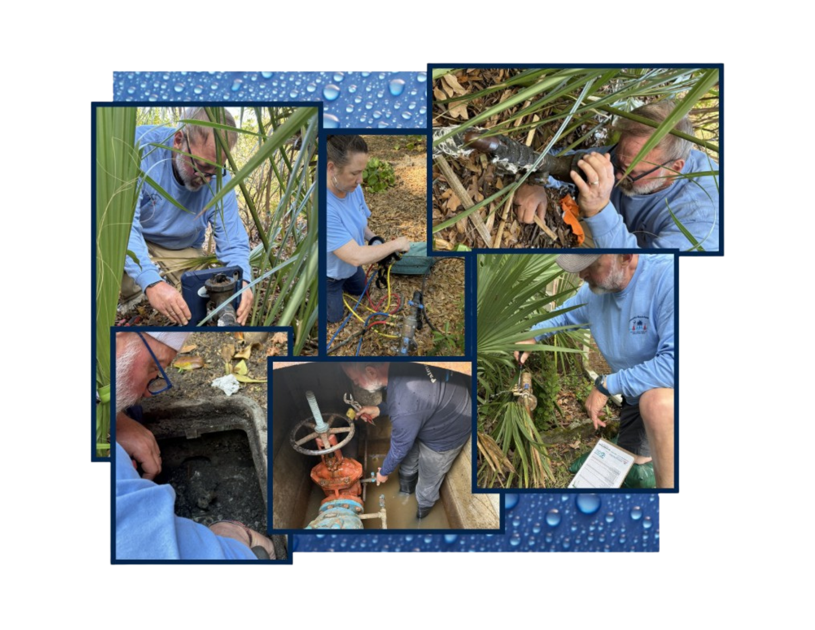 Collage of a person in blue working in tall grass and inspecting plant roots or a small catch.