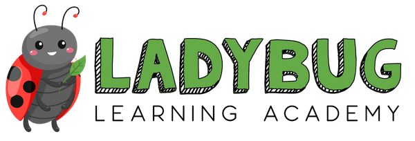 Ladybug Learning Academy