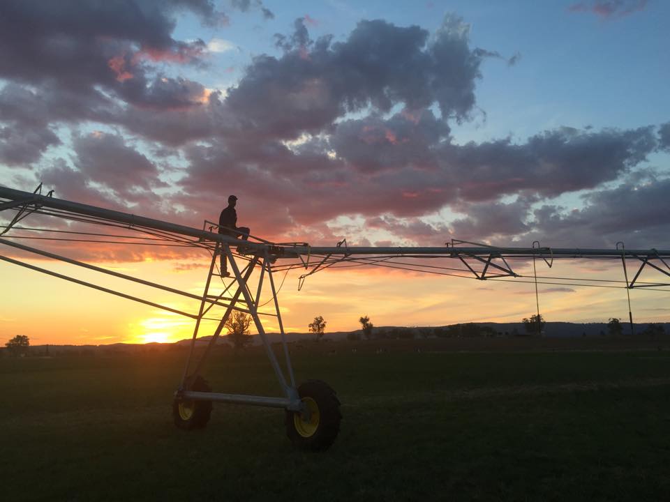 sunset, man, and machine