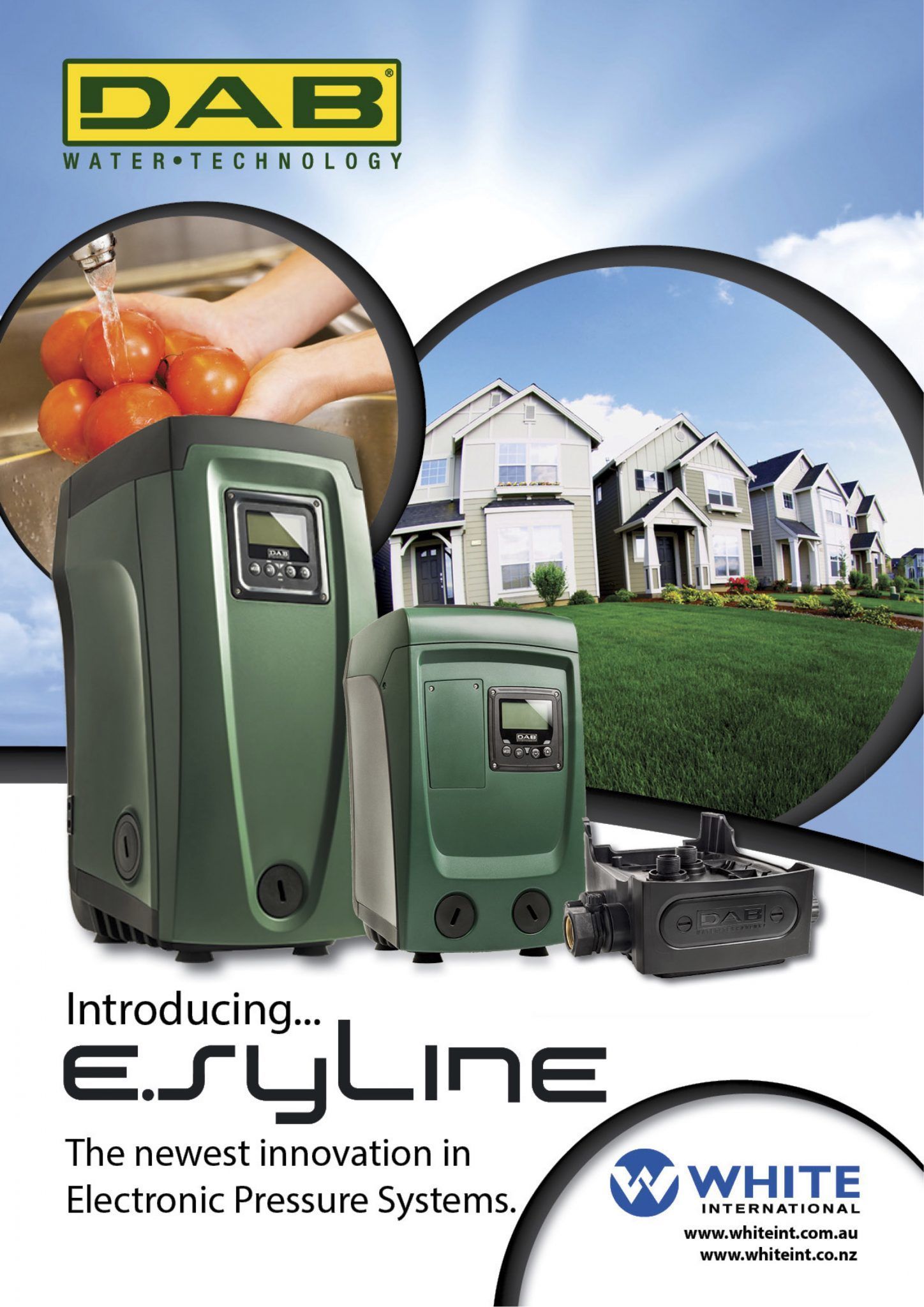 White International- (DAB Pumps)