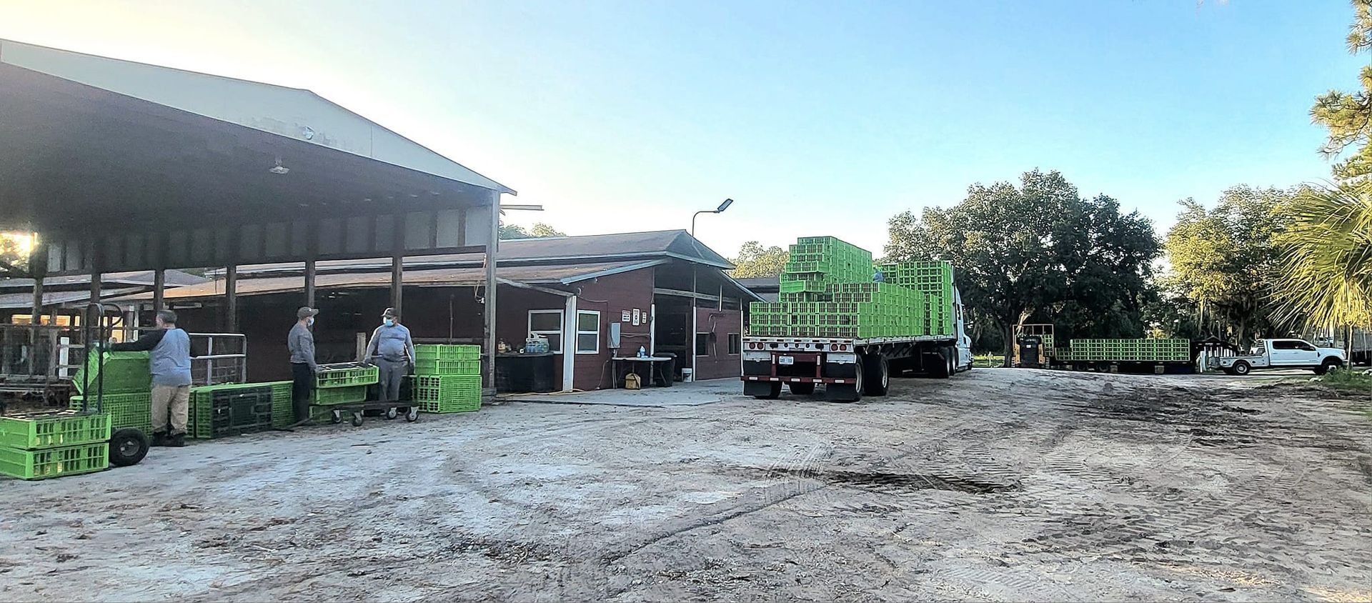 A group of people are working on a farm.
