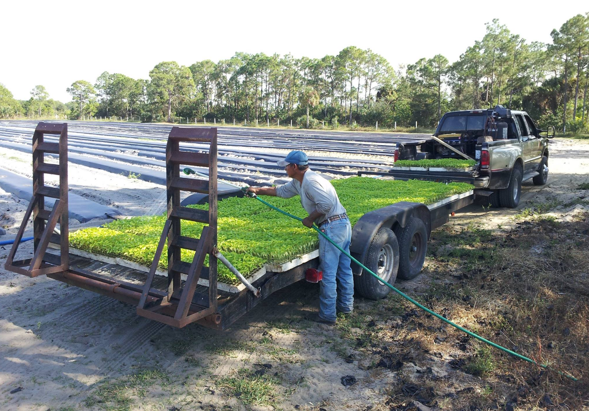 A man is pushing a trailer with a hose attached to it
