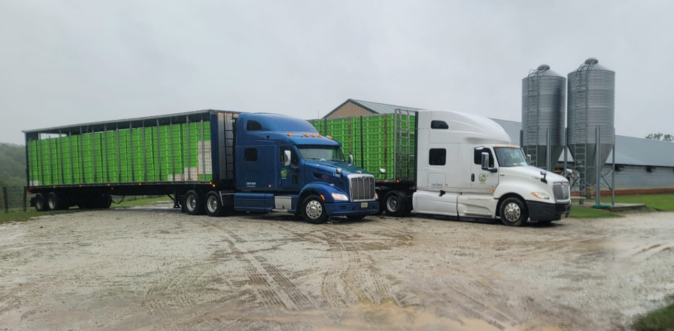 Two semi trucks are parked next to each other on a dirt road.