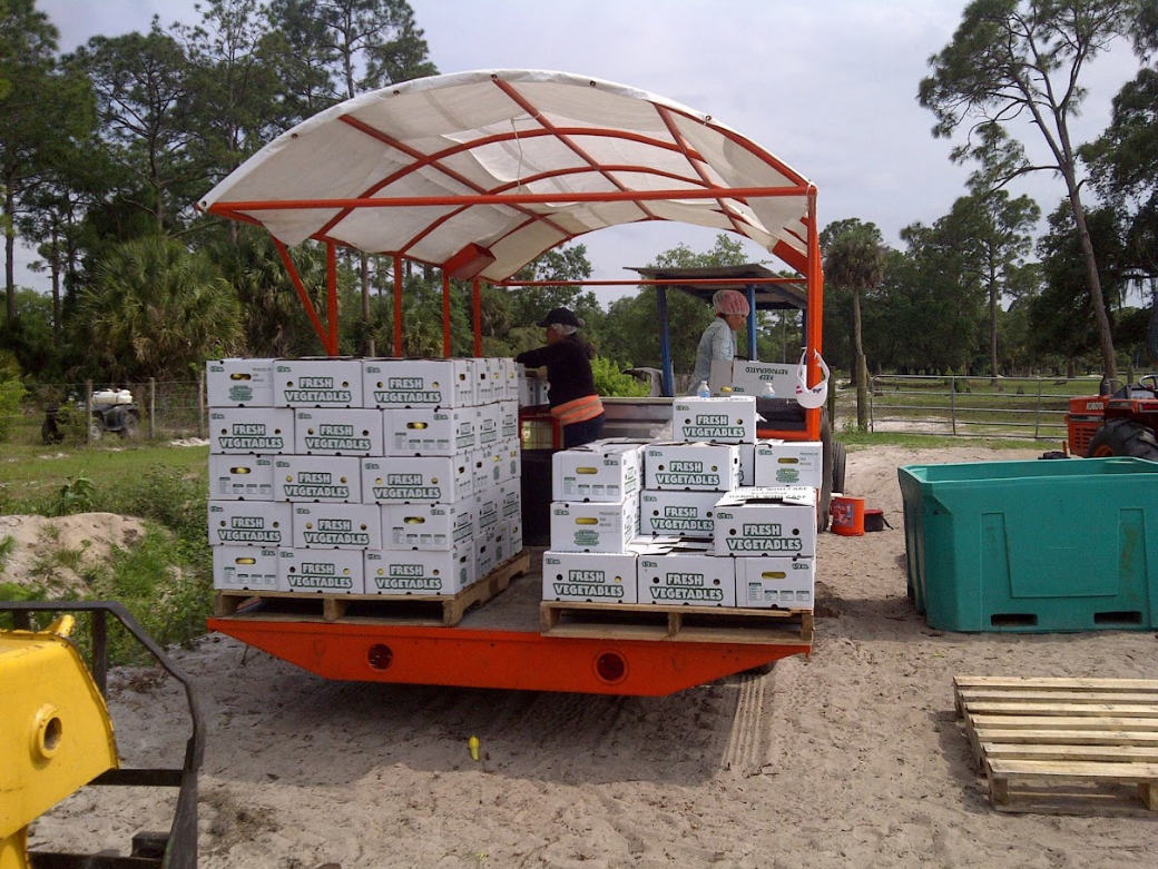 A truck is loaded with boxes and a canopy over it