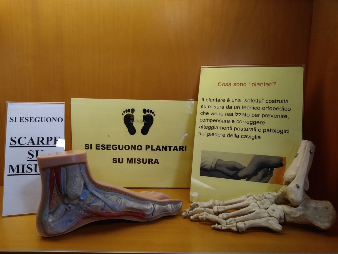 modelli dello scheletro del piede per plantari ortopedici