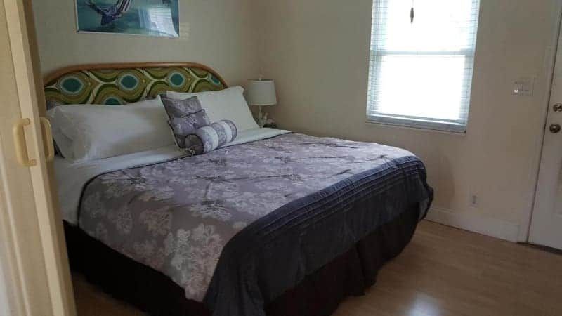 A bedroom with a king size bed and a window.