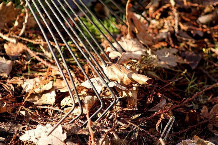 Mulch, Soil & Sod Disposal