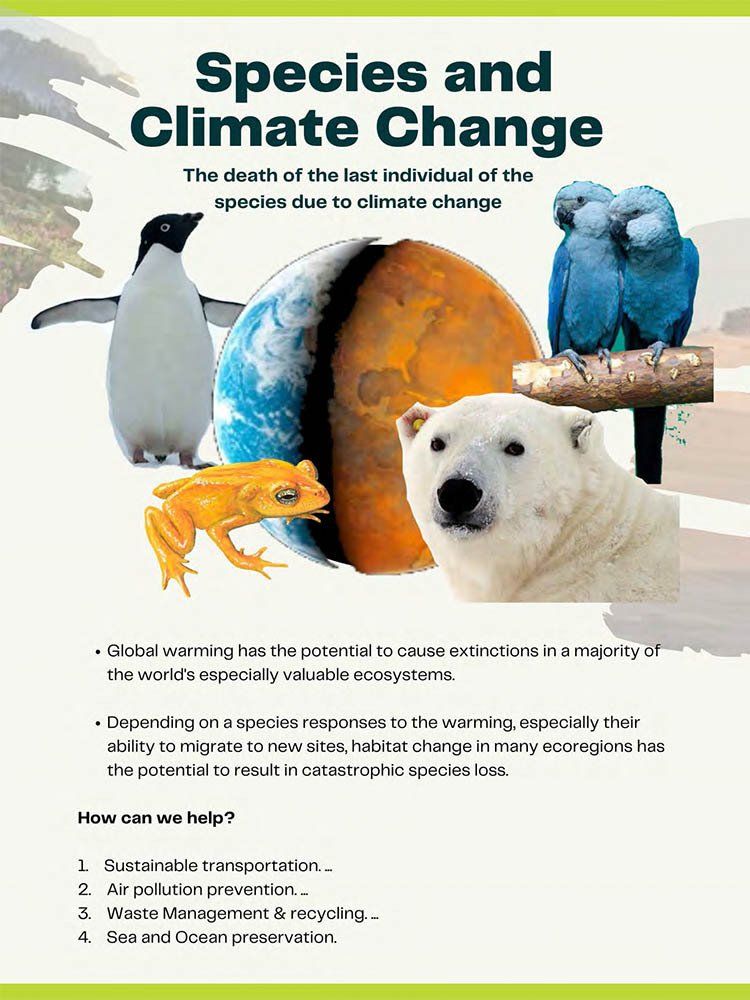 Deutsche Schule Jakarta, Environmental Posters grade 10