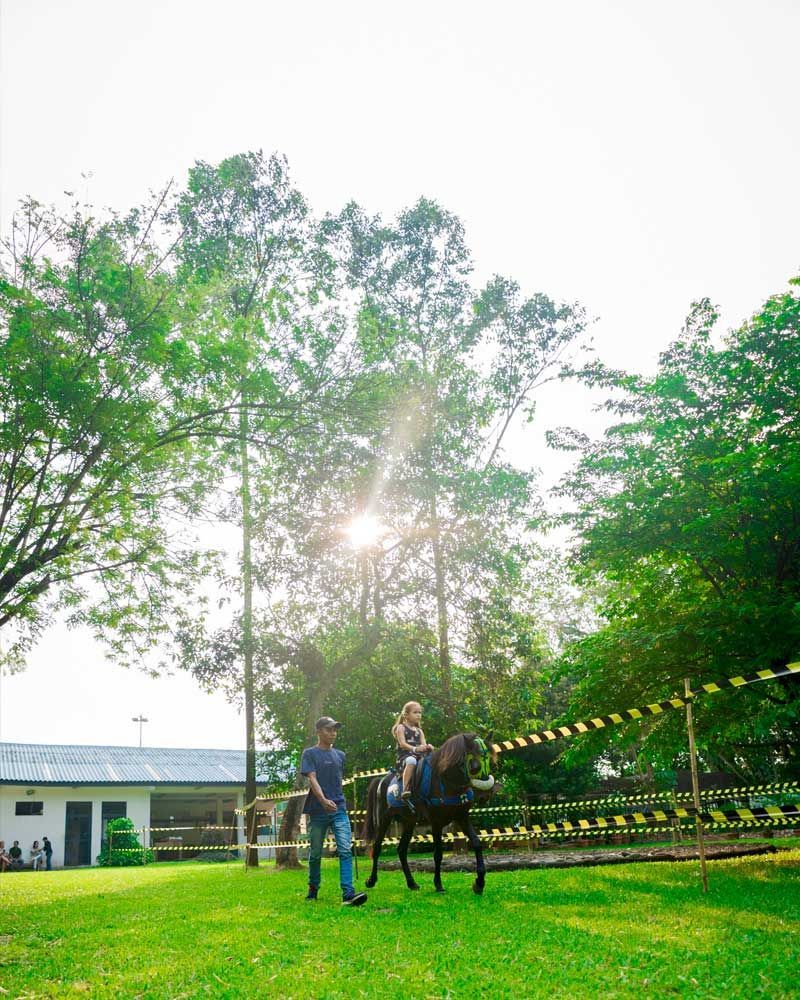 A man and a child are riding a horse in a field.