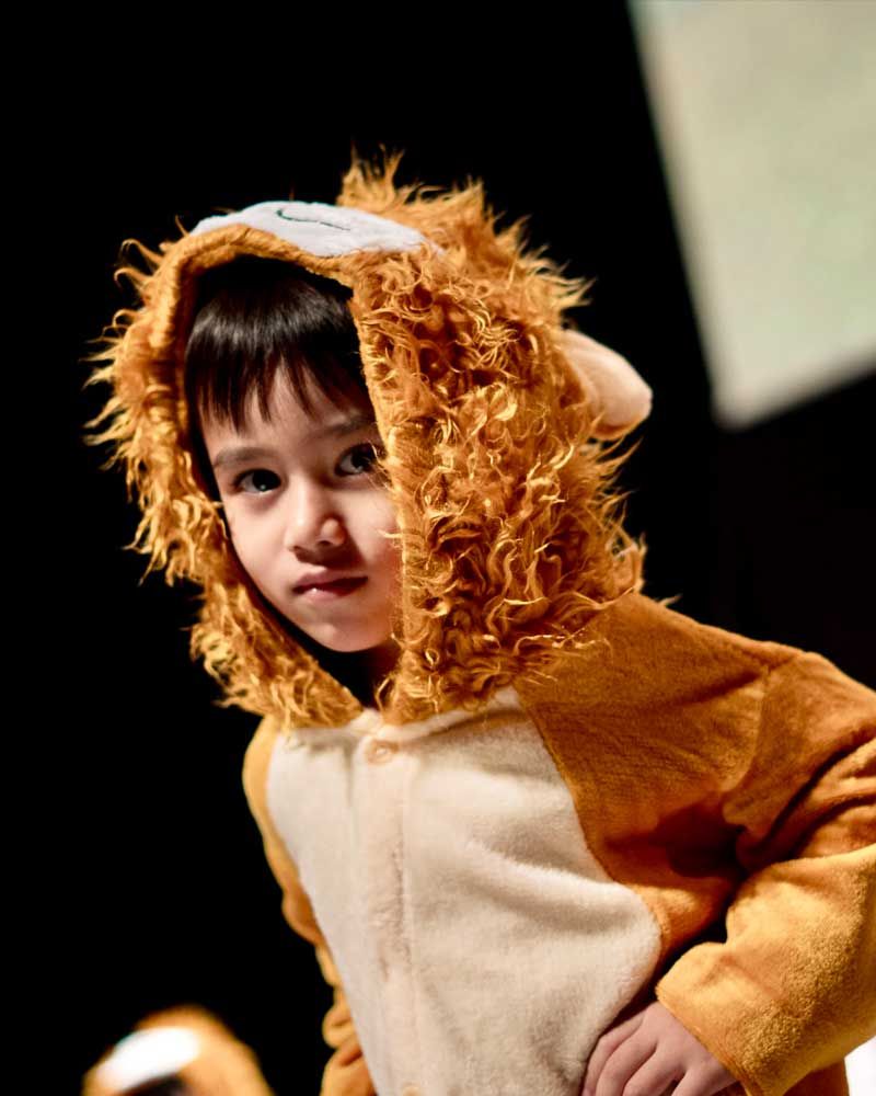 A young boy is dressed in a lion costume