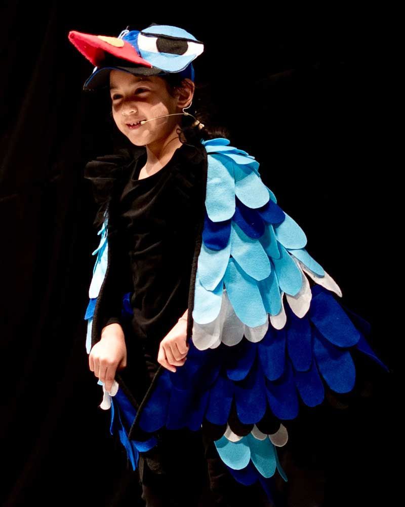 A little girl is dressed in a bird costume
