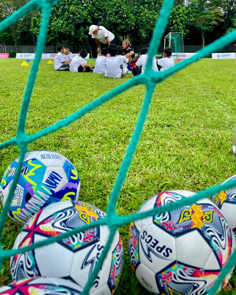 A group of soccer balls are sitting on top of a lush green field.