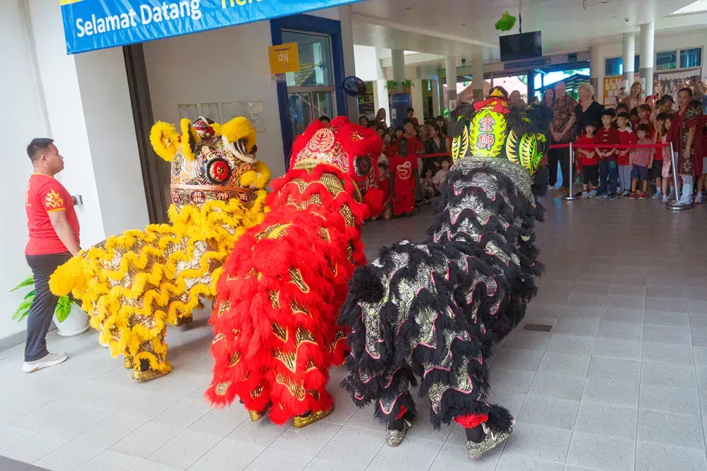 A group of lion dancers are performing in front of a crowd.