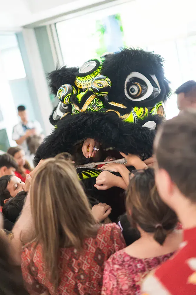 A group of people are watching a lion dance.