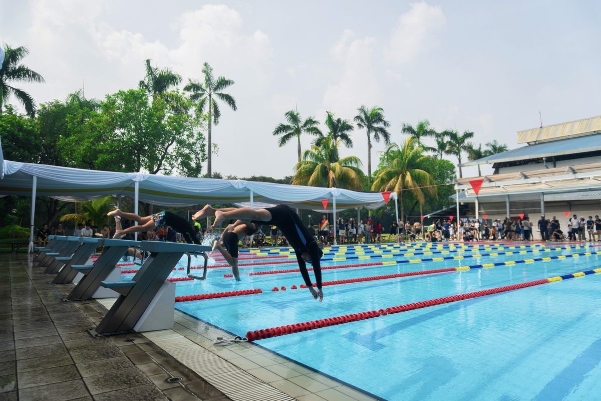 A group of people are diving into a swimming pool.