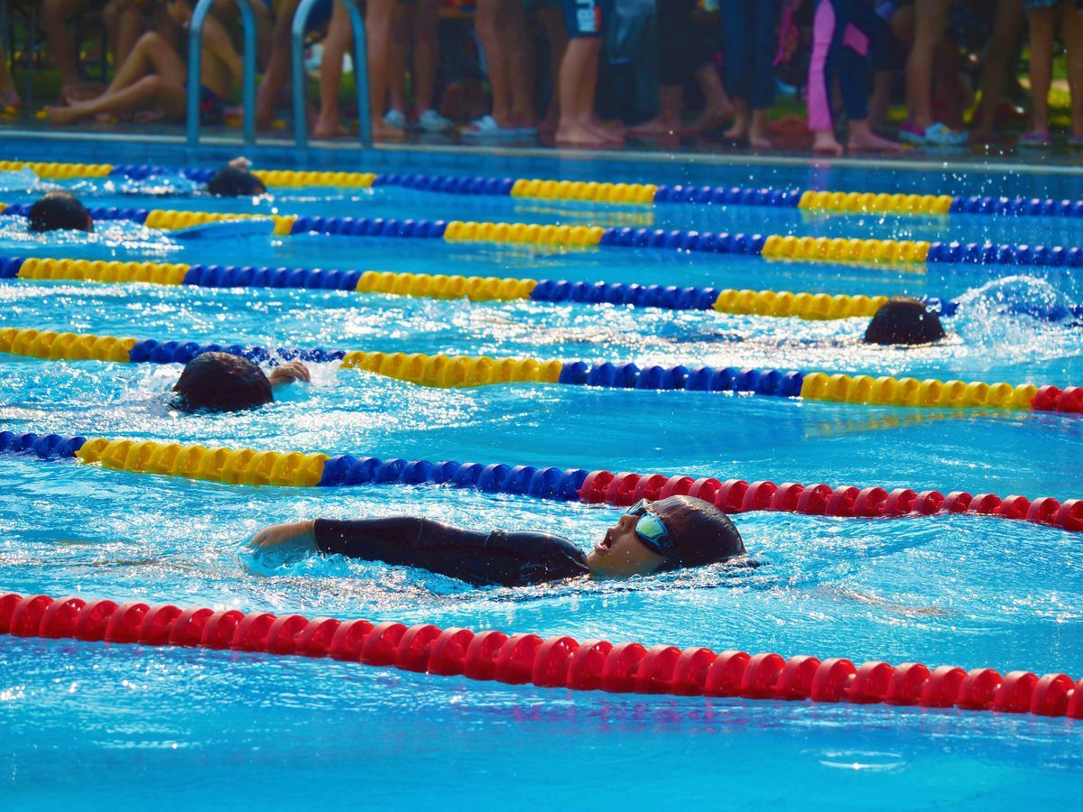 A group of people are swimming in a swimming pool.