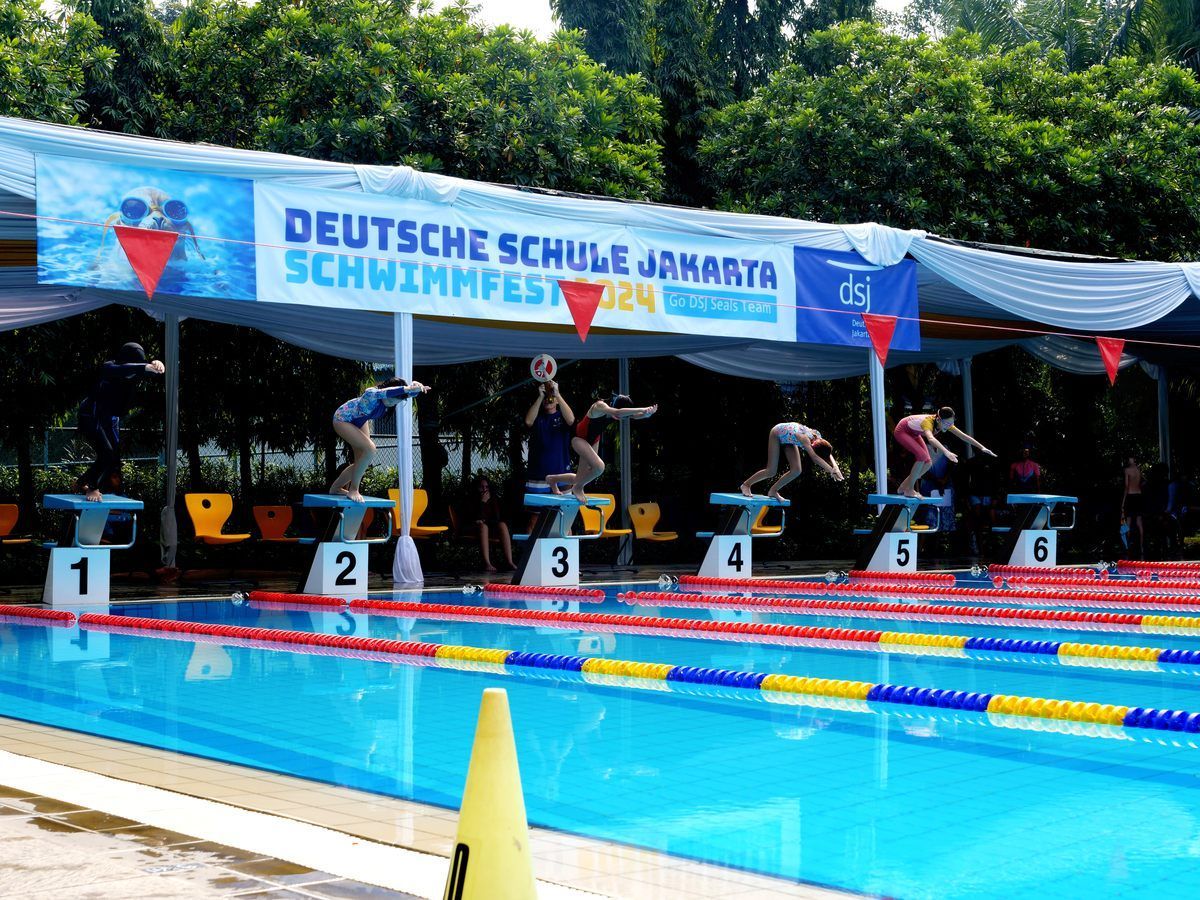 A group of people are jumping into a swimming pool.