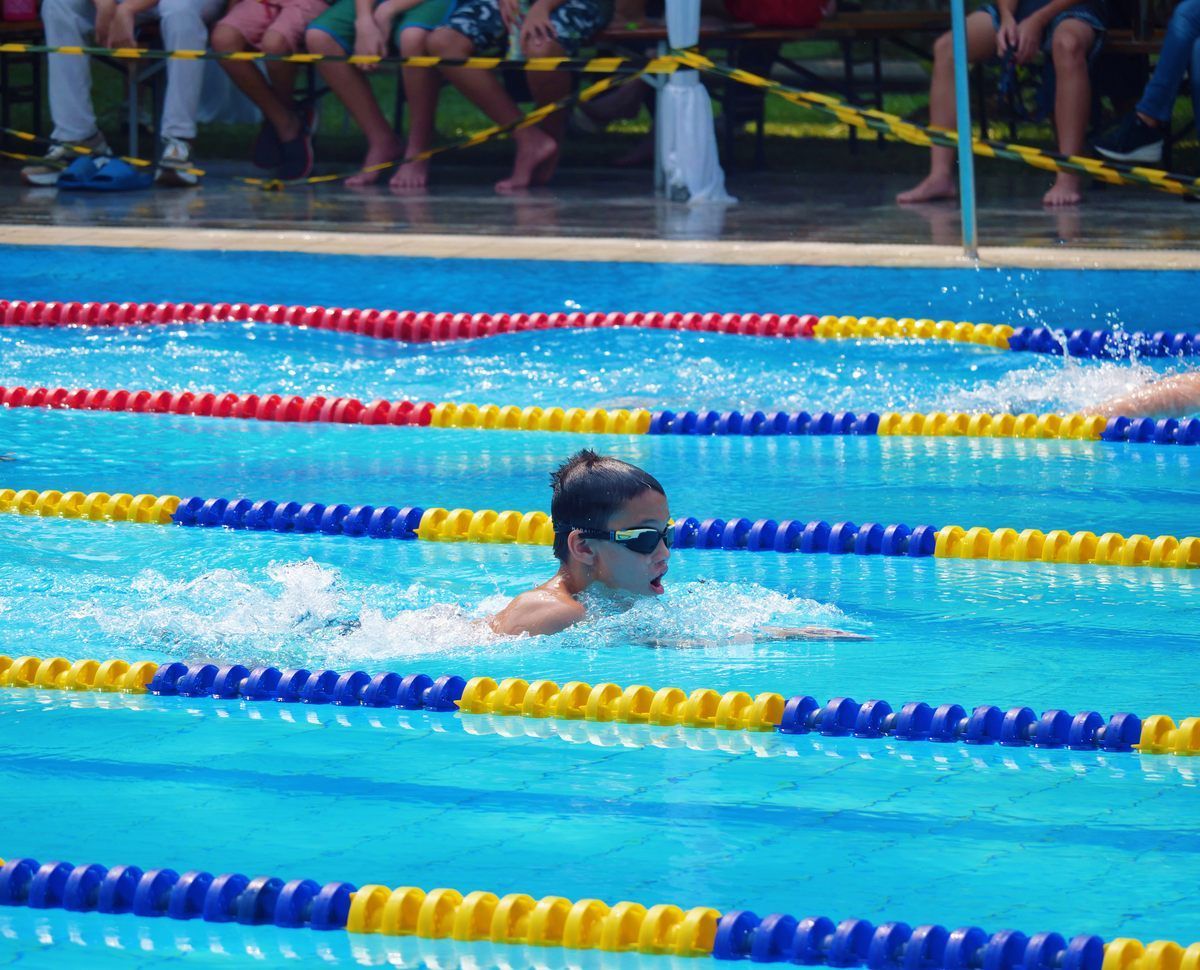 A woman is swimming in a swimming pool with blue and yellow lanes