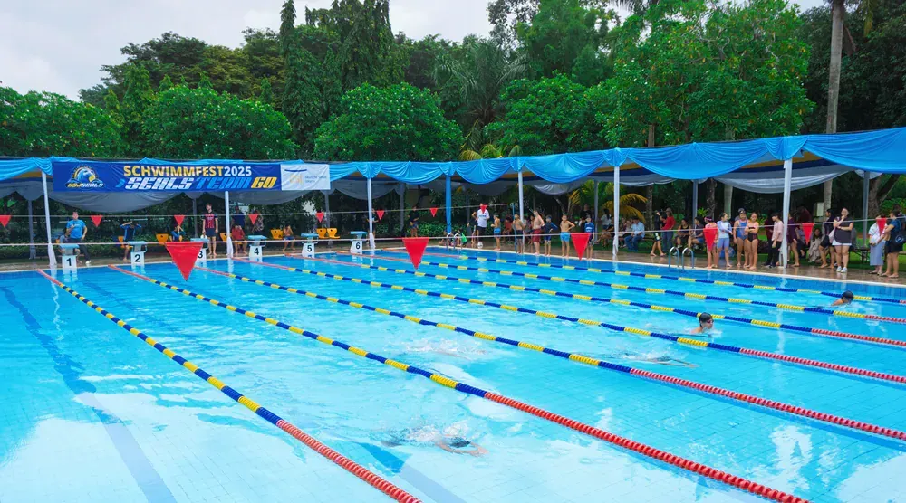 A man is swimming in a large swimming pool surrounded by trees.