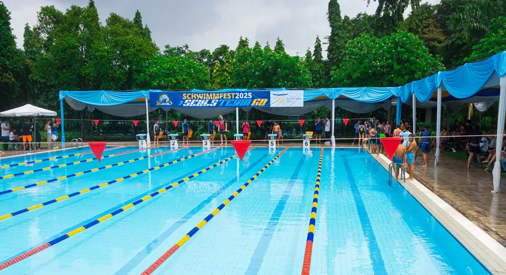 A large swimming pool surrounded by trees and a canopy.