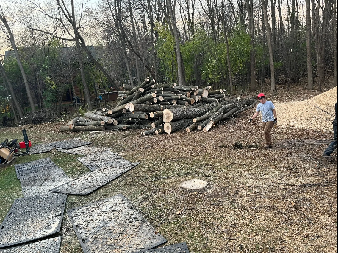 Chopped Dry Firewood - Appleton, WI - TREE B GONE