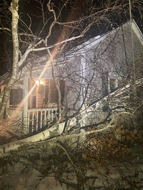 Tree Fall Down After The Hurricane - Appleton, WI - TREE B GONE