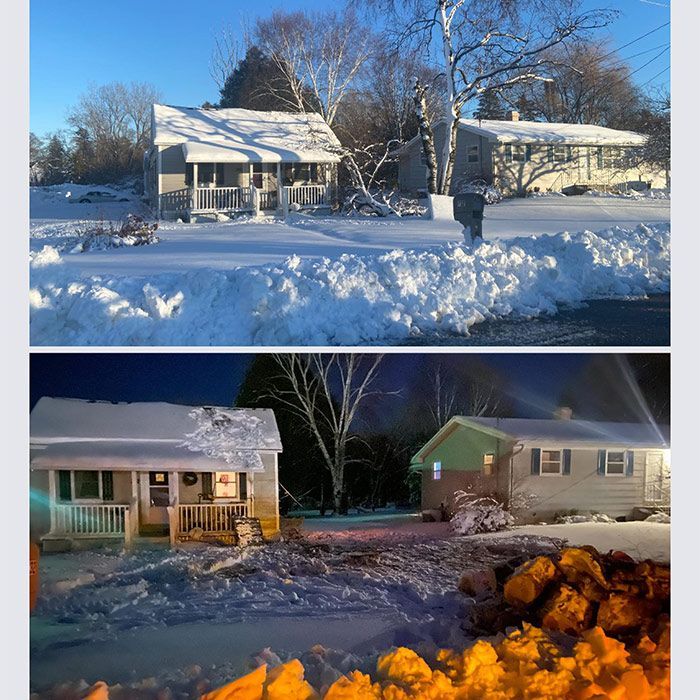 Portrait Of An Before And After Tree Removal - Appleton, WI - TREE B GONE