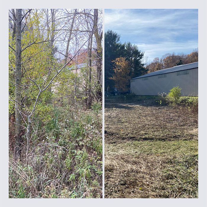 Before And After Of Tree Trimming In A Residential House - Appleton, WI - TREE B GONE