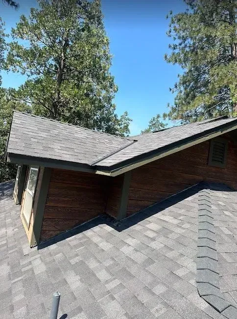 A house with a roof that is very curved and has a lot of trees in the background.