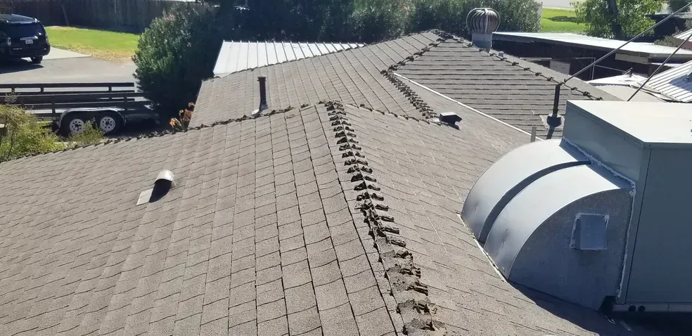 A roof with a lot of birds on it