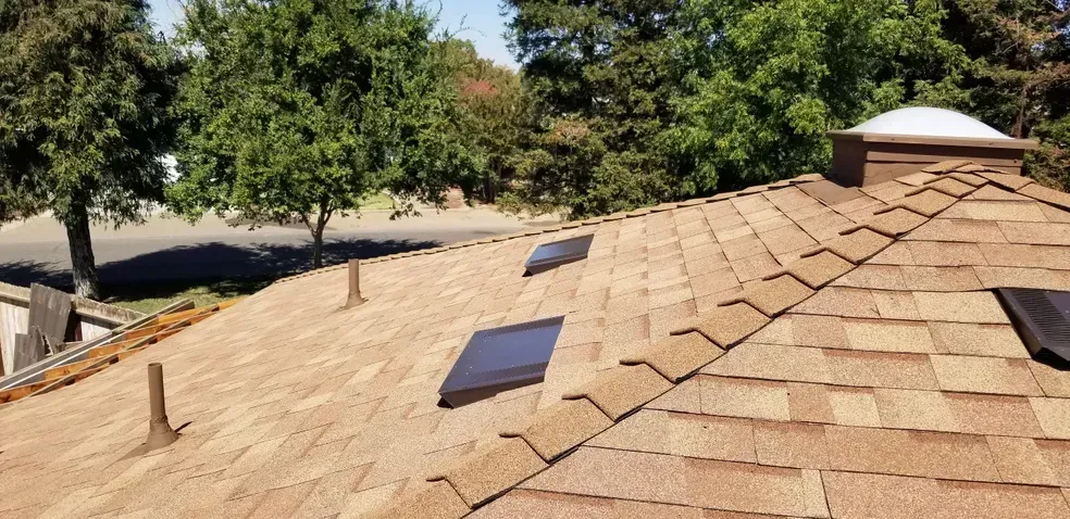 A roof with a skylight on it and trees in the background.