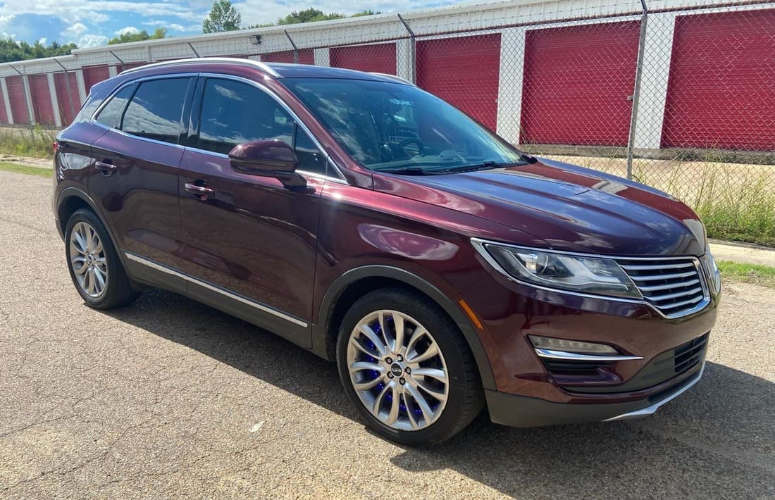 Premium Dyed Tint Jackson TN