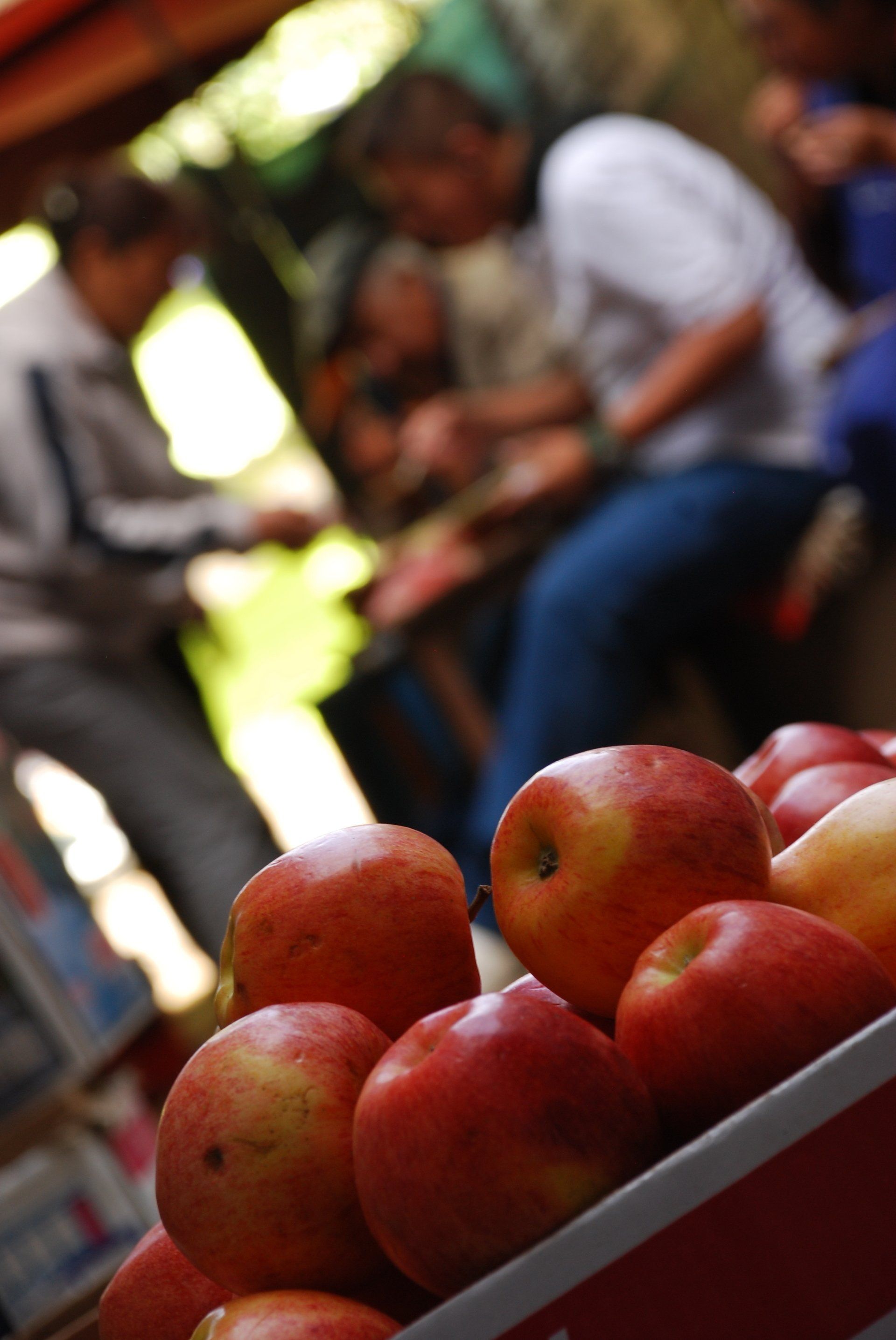 Apples at market in Bolivia, South America.