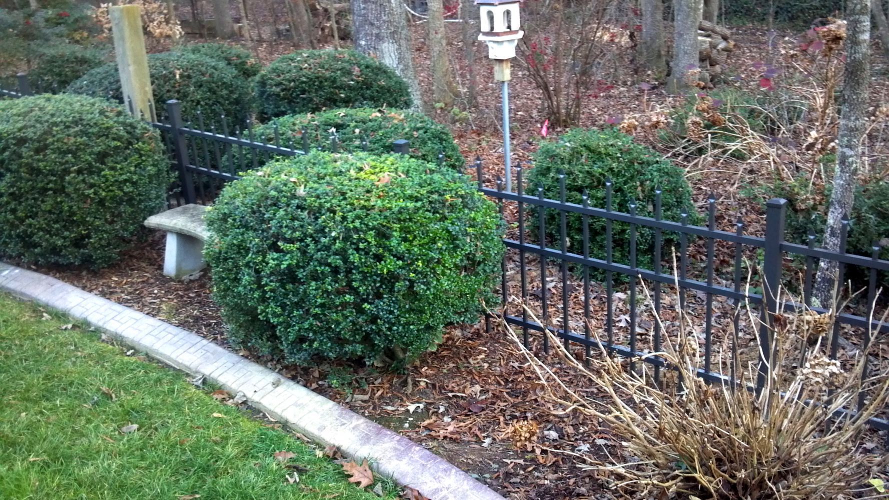 Green, rounded shrubs border a small black fence, near a bench and lawn.