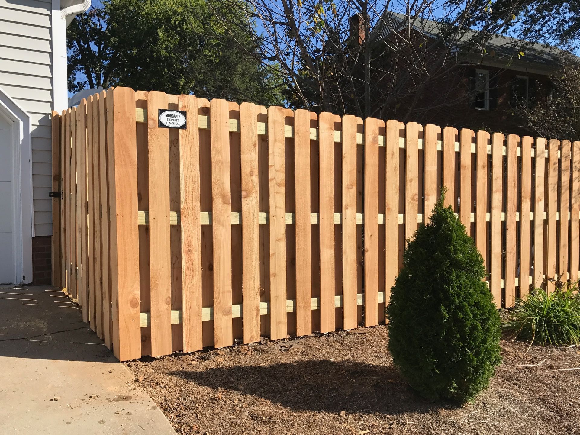 Wooden privacy fence in a yard, with a green shrub.