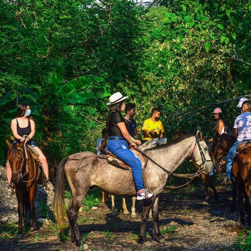 Personas cabalgando a través de un frondoso bosque verde. Algunos llevan sombreros y mascarillas.
